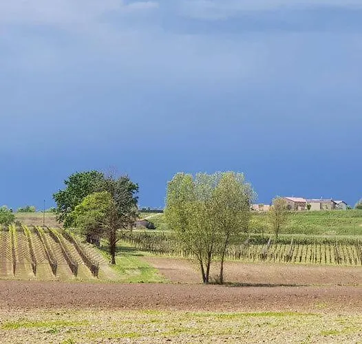Le Caldane