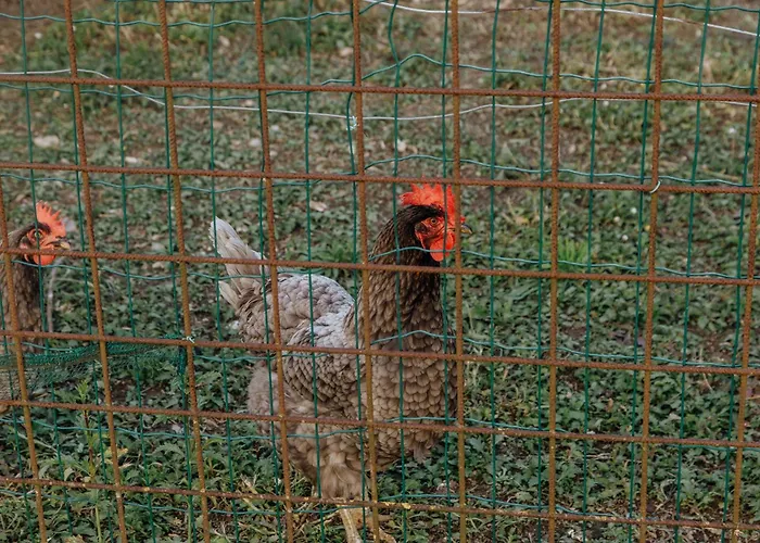 Le Caldane Séjour à la ferme