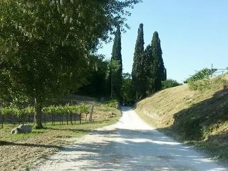 Le Caldane Farm stay *