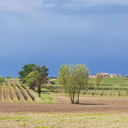 Le Caldane